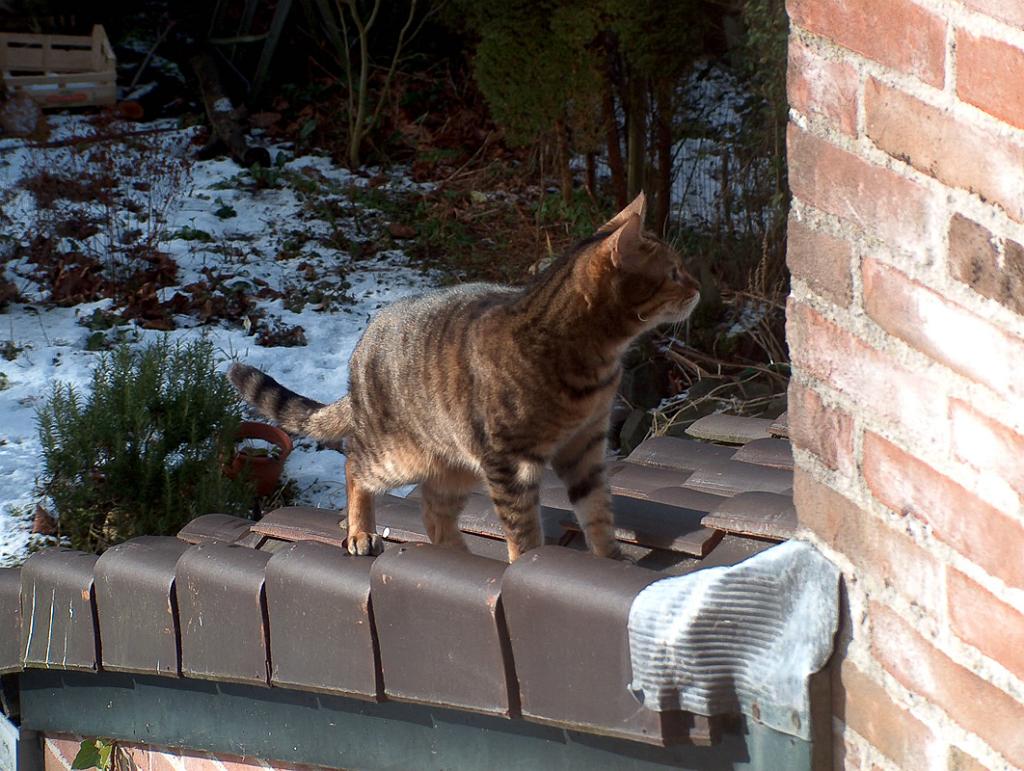Flop en Spook  _06-03-18_10.JPG